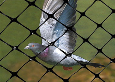 Çin Bahçe için 1m - 3m Genişlik Kuş Netleştirme, Yaban Mersini Bitkiler İçin Kuş Netleştirme Fabrika